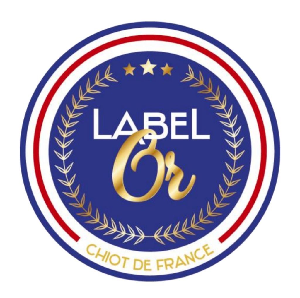 Du Phoenix Ardent - Obtention du label or